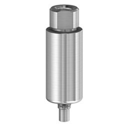 PM Blank Ti 10mm Camlog WP