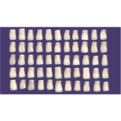 Exocad DentalCAD ZRS Tooth Library Perpetual