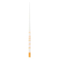 EDGE TAPER PAPER POINT F1 Pack of 100