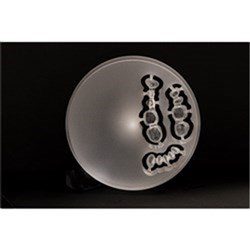 POLIDENT PMMA CAD CAM Disc Clear 98.5x 30 mm